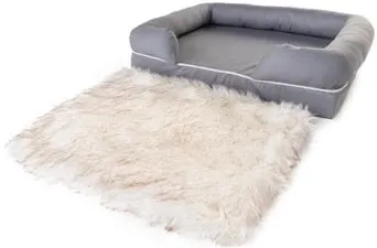 PupLounge Memory Foam Bolster Bed & Topper