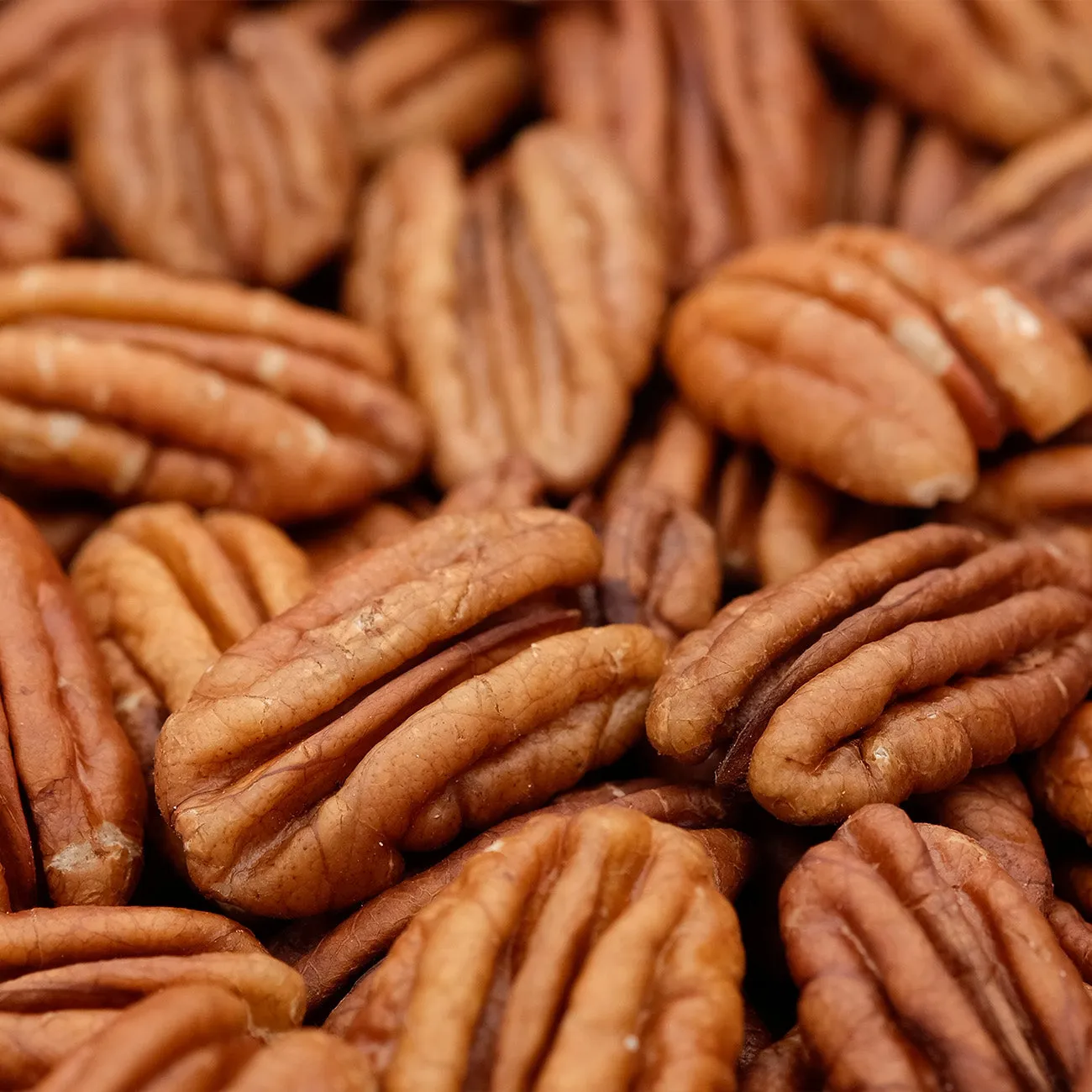 Sumner Pecan Tree | Type 2 Pollinator